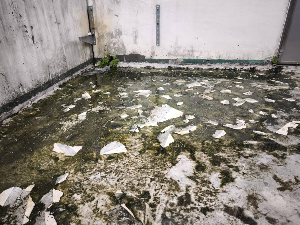 屋頂防水案件圖片