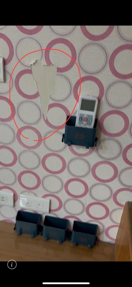 室內裝潢案件圖片