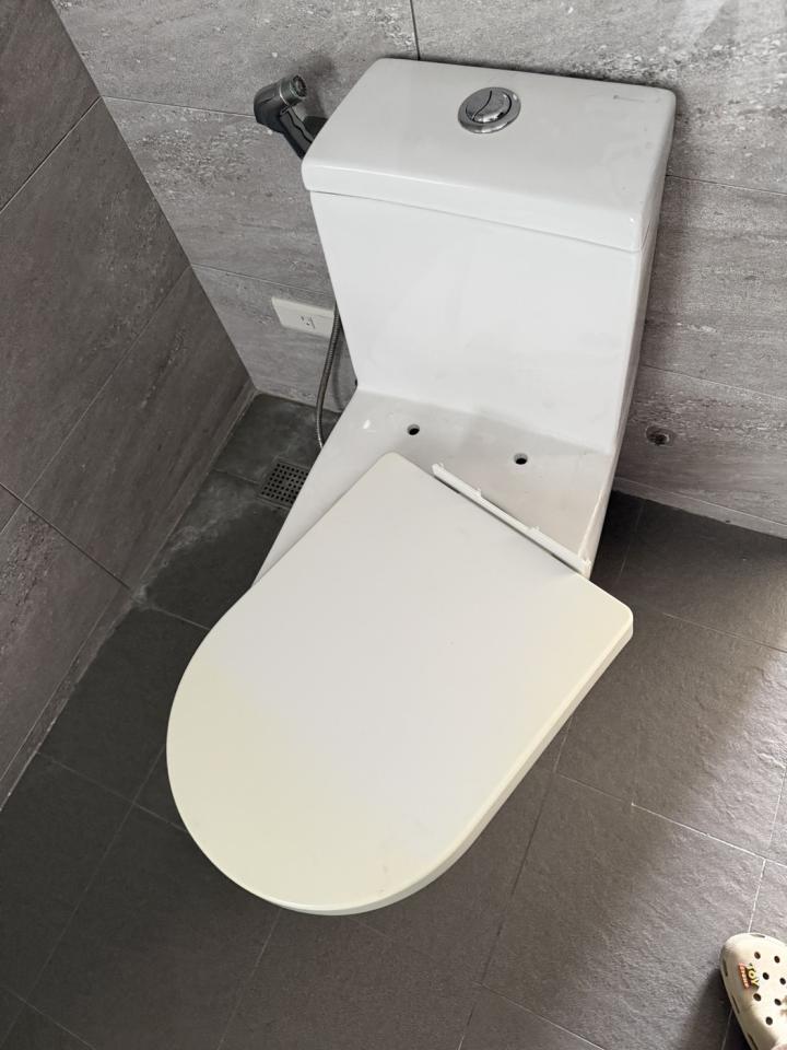 馬桶裝修案件圖片