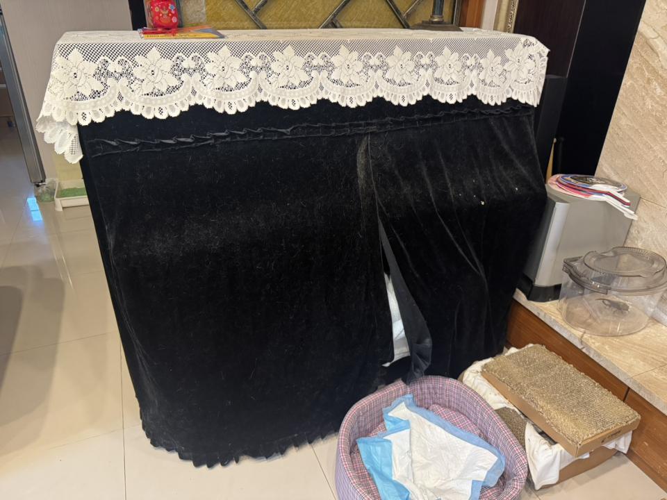 鋼琴搬運案件圖片