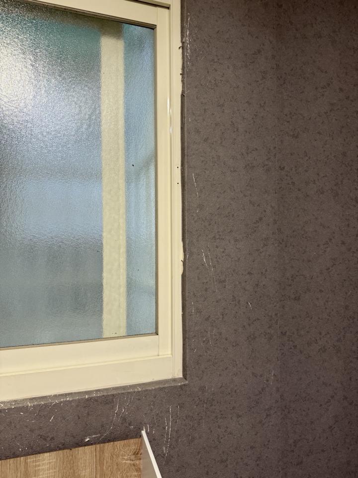 壁紙施工案件圖片
