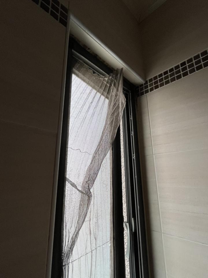紗窗裝修案件圖片