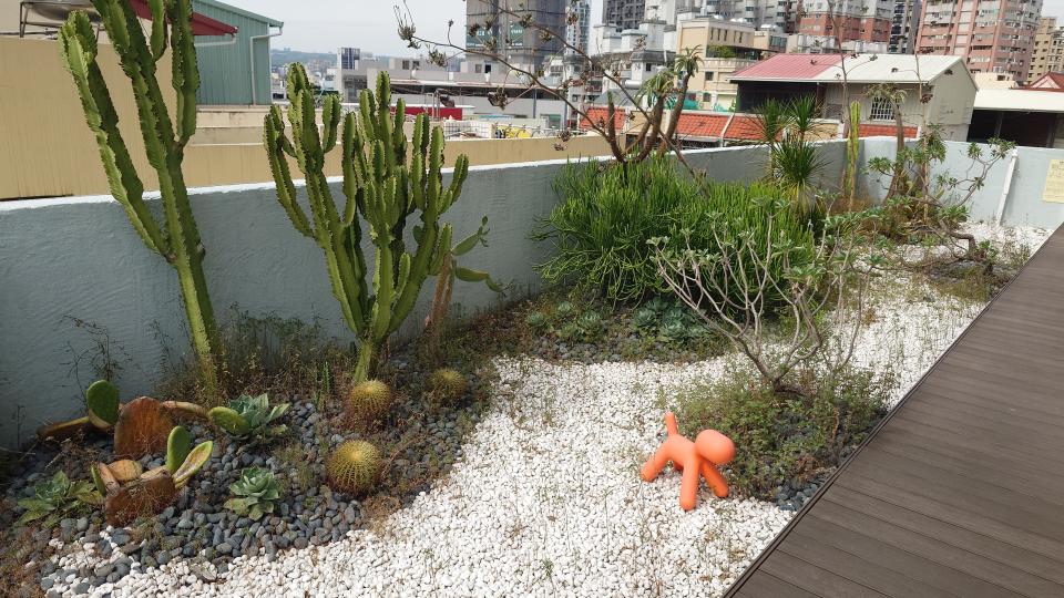 園藝維護案件圖片