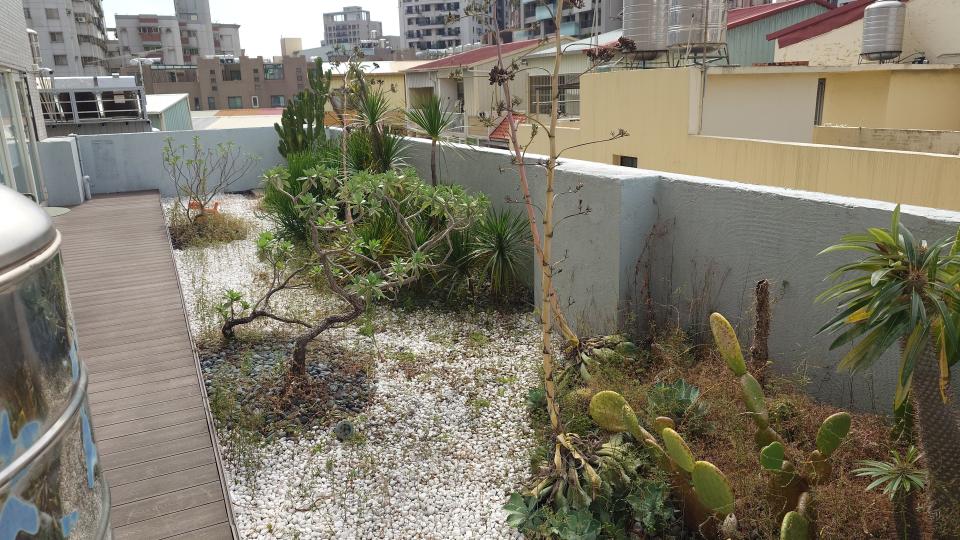 園藝維護案件圖片