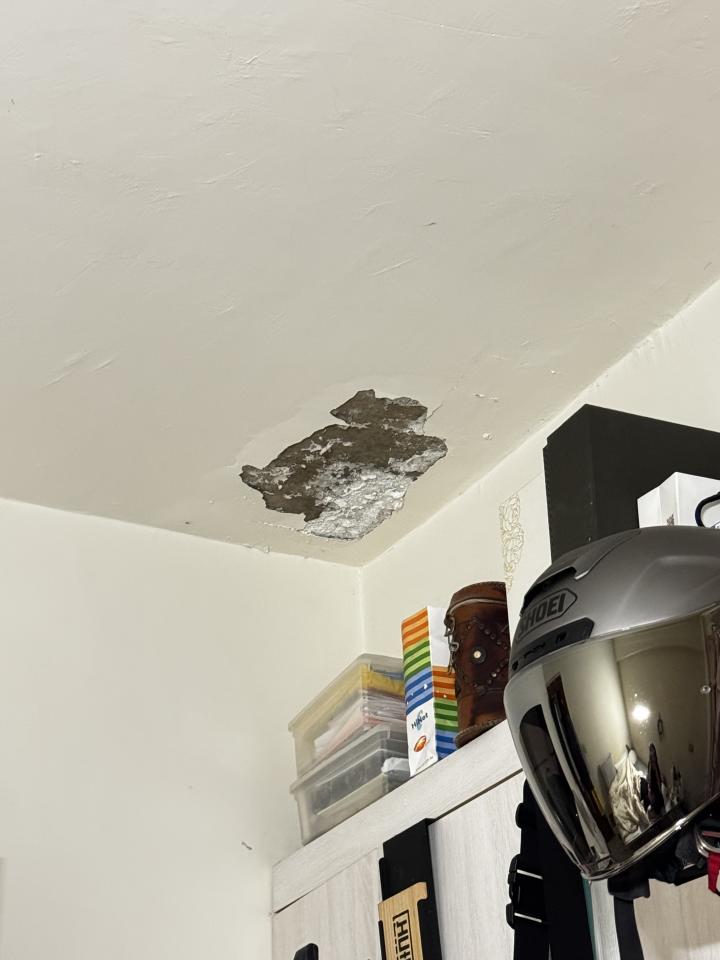 油漆工程案件圖片