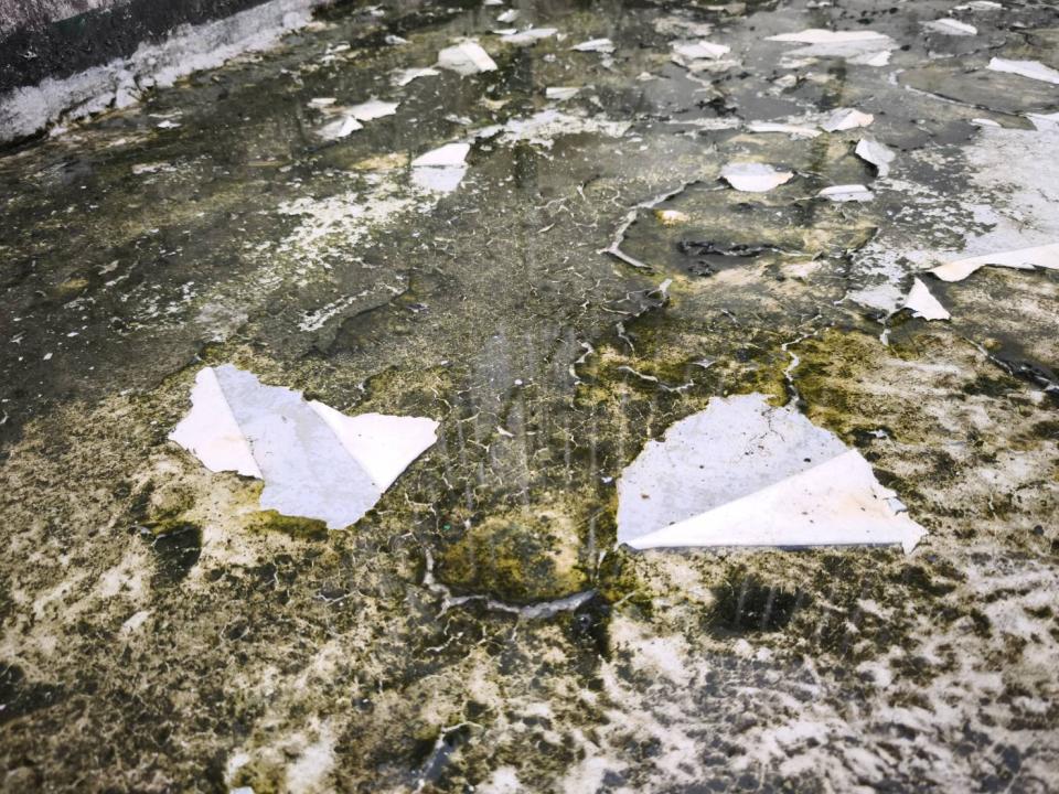 屋頂防水案件圖片