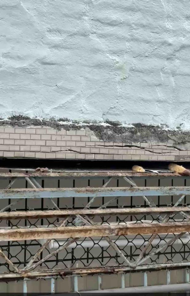 泥作/水泥施工案件圖片