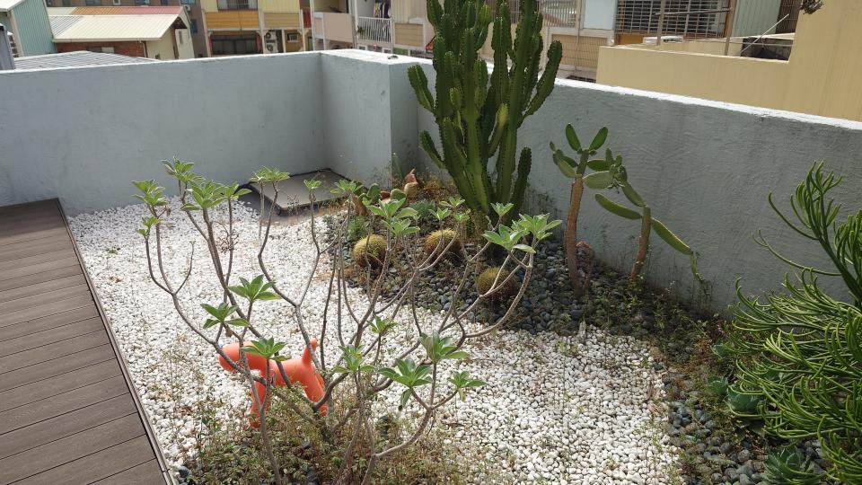 園藝維護案件圖片