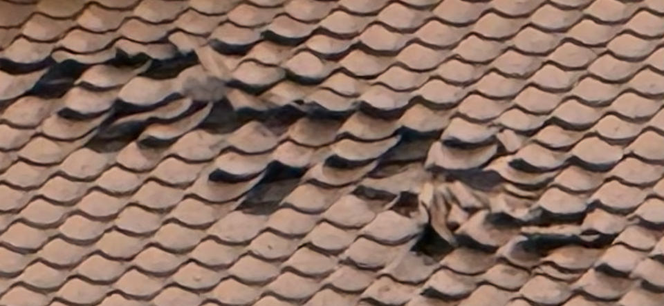 屋瓦翻修案件圖片