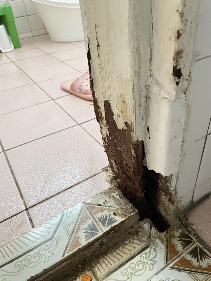 浴室門案件圖片