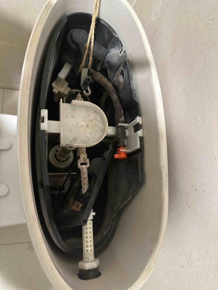 馬桶裝修案件圖片