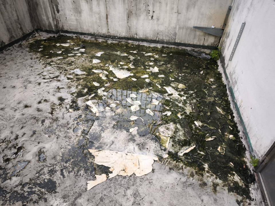 屋頂防水案件圖片