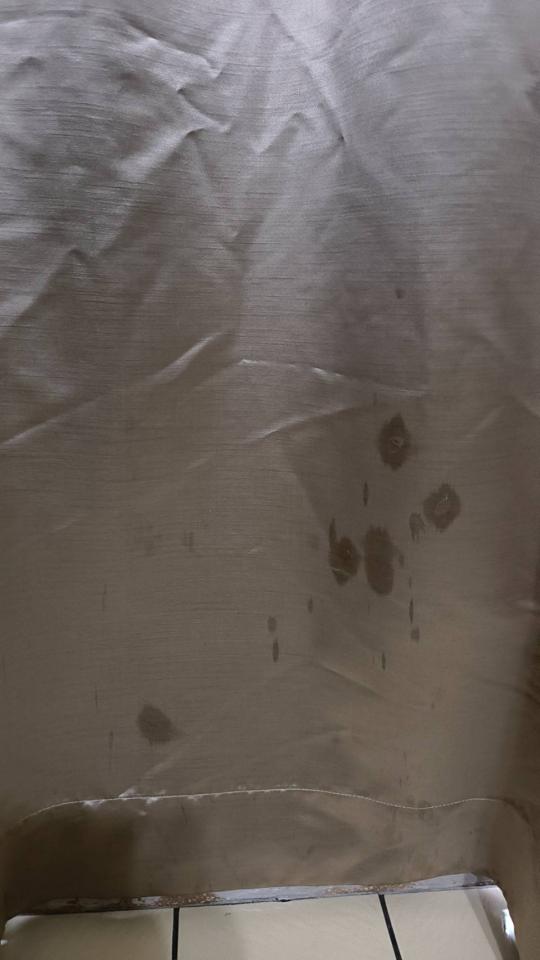 窗簾清潔案件圖片