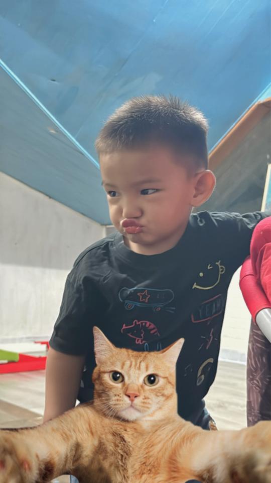 LINE貼圖製作案件圖片