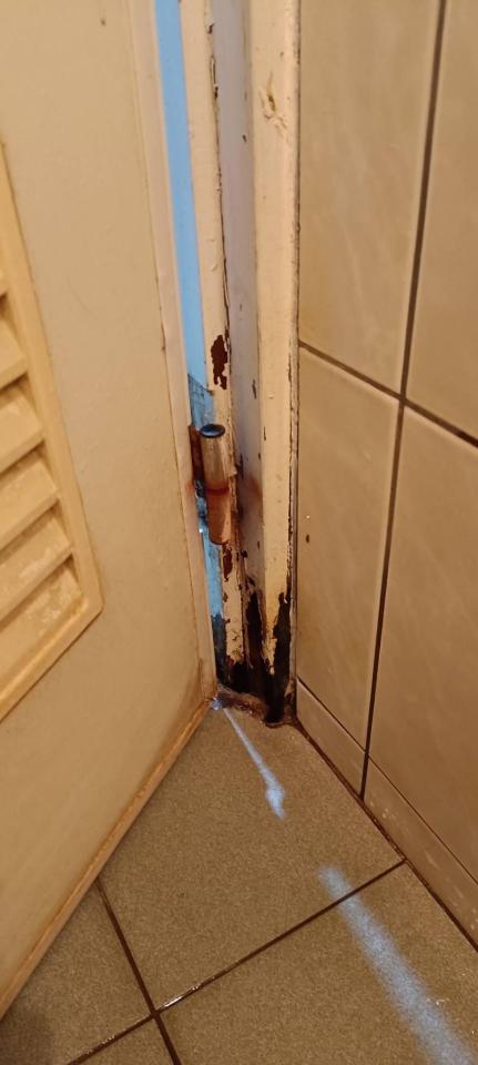 浴室門案件圖片