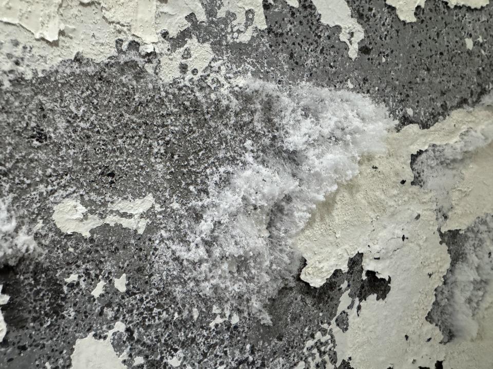 壁癌處理案件圖片