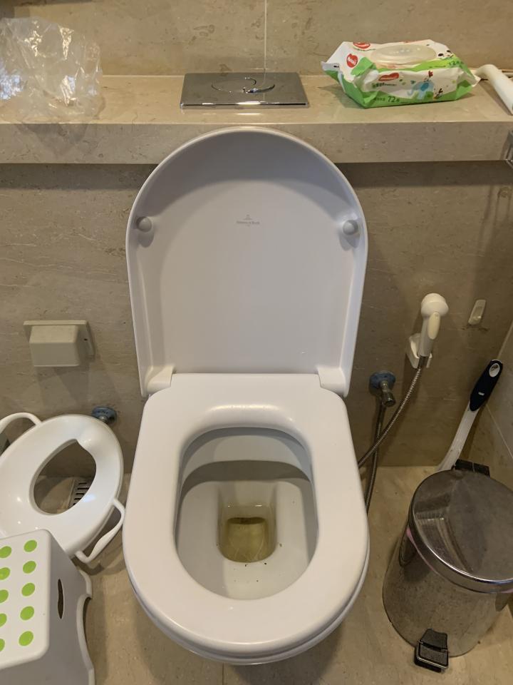 馬桶裝修案件圖片