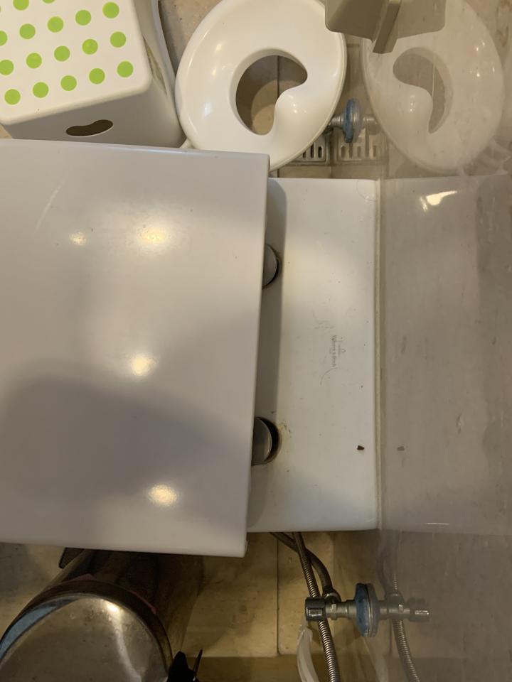 馬桶裝修案件圖片