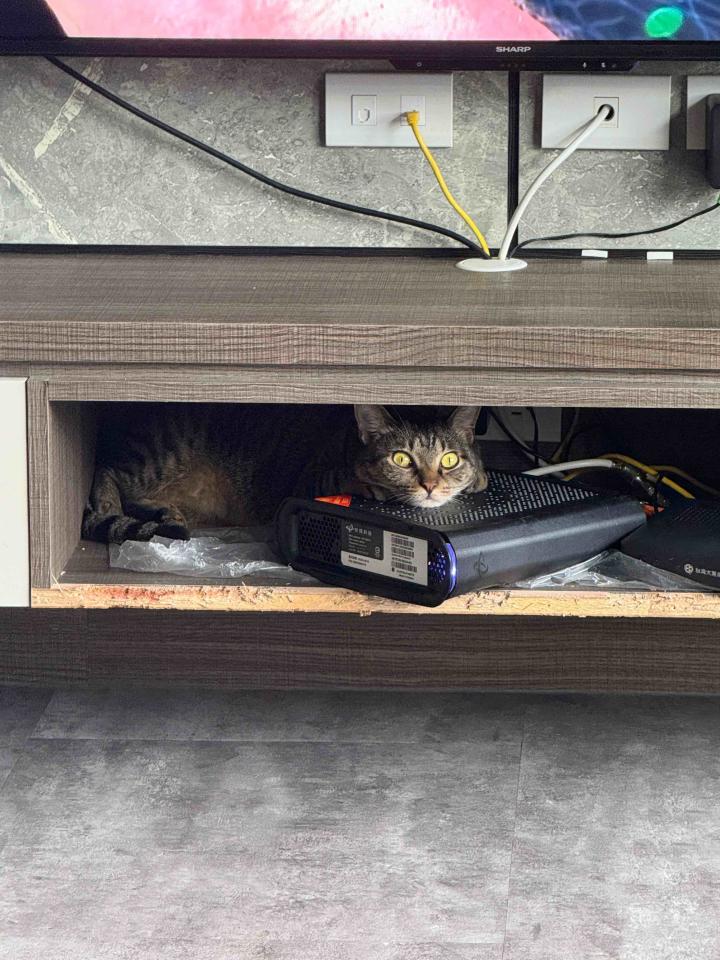 家具維修案件圖片