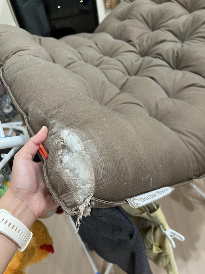 衣物修改案件圖片