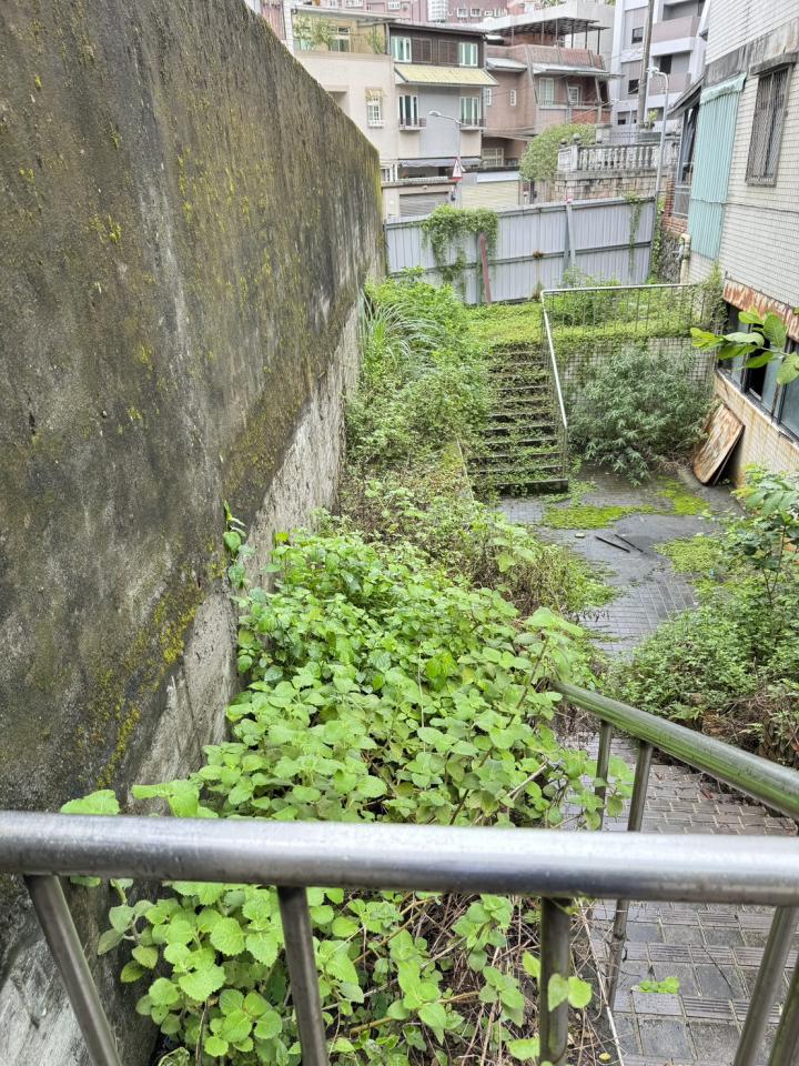 園藝維護案件圖片