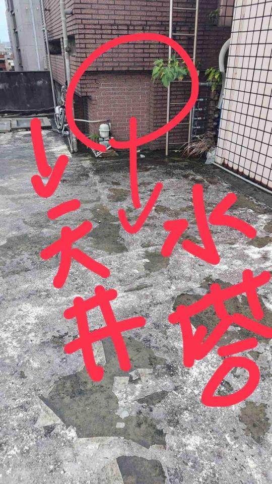 屋頂防水案件圖片