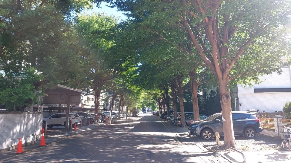 園藝維護案件圖片