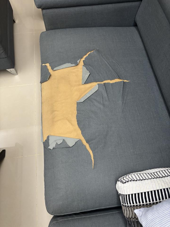 沙發修理案件圖片