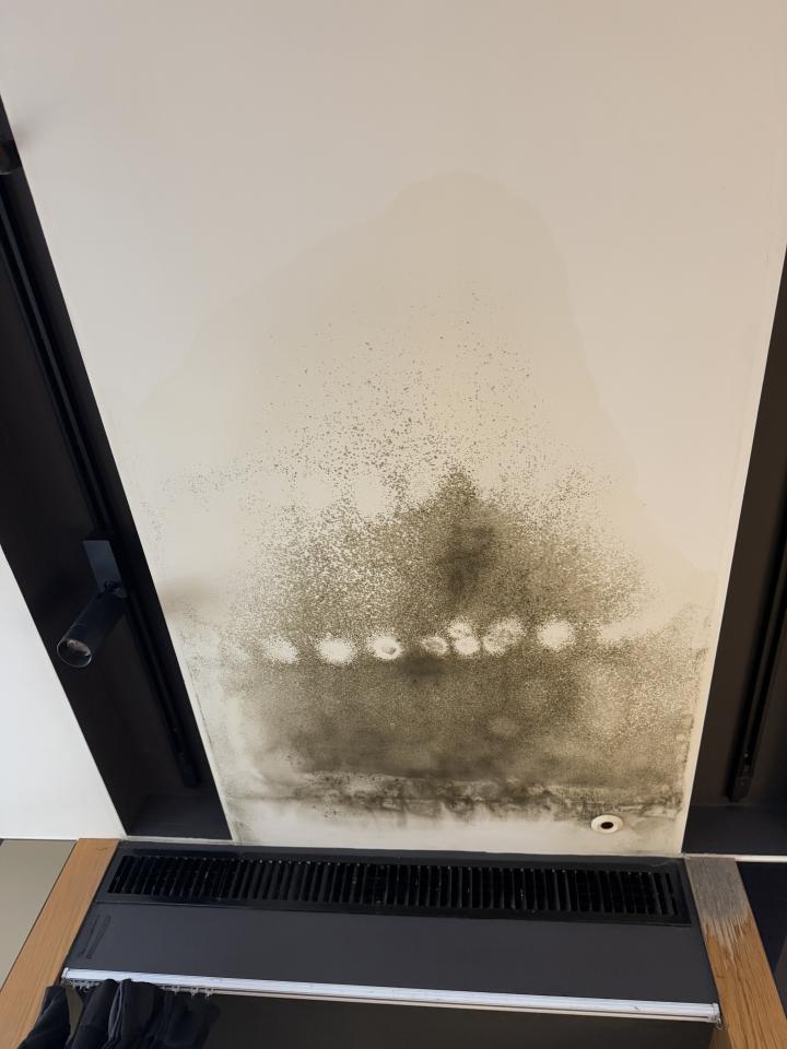 油漆工程案件圖片