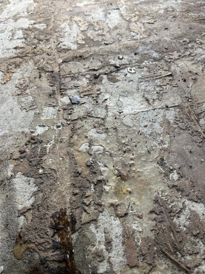 地板拋光打蠟案件圖片