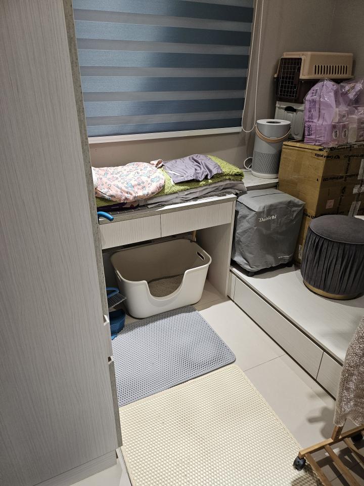 拆除工程案件圖片