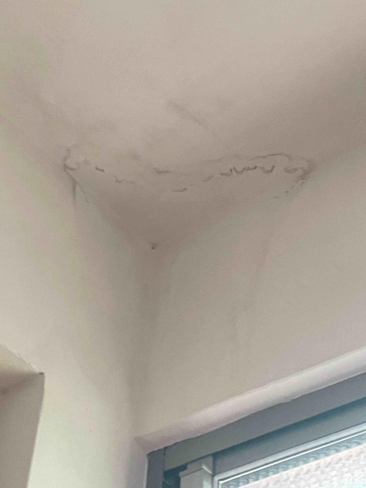 屋頂防水案件圖片