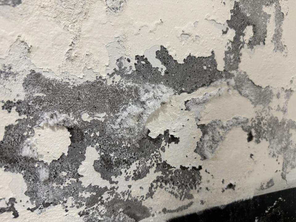 壁癌處理案件圖片