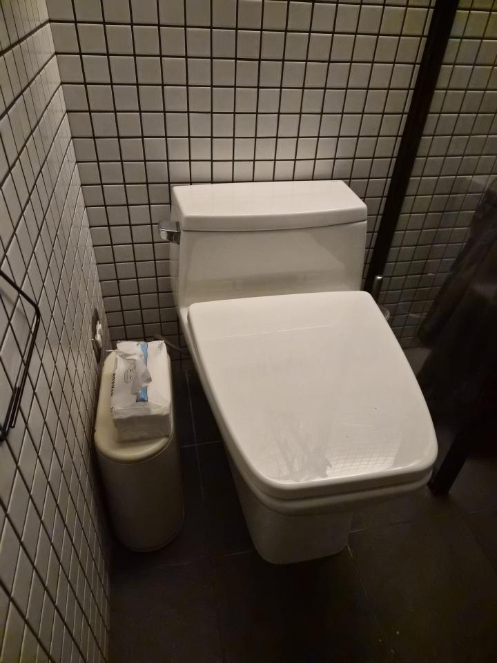 馬桶裝修案件圖片