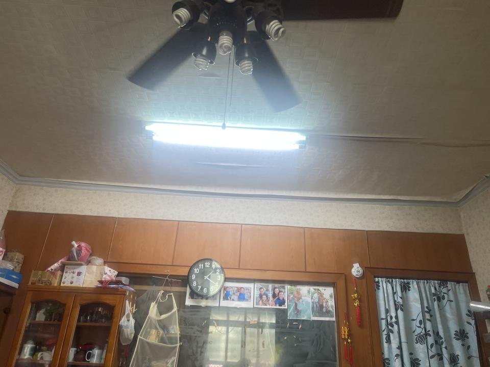 壁紙施工案件圖片