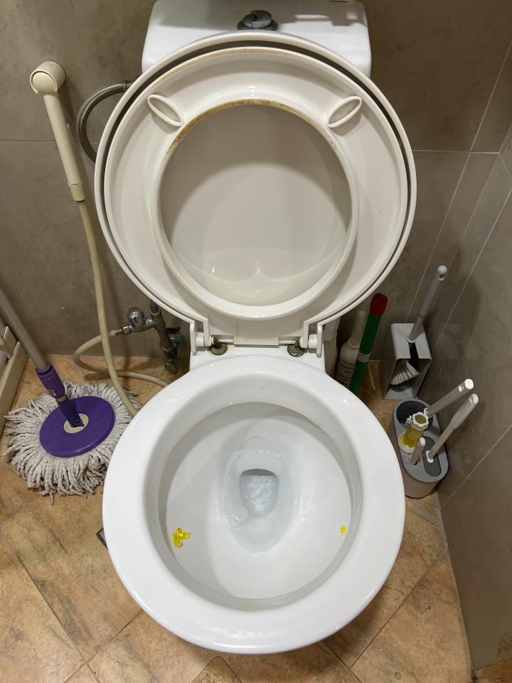 馬桶裝修案件圖片