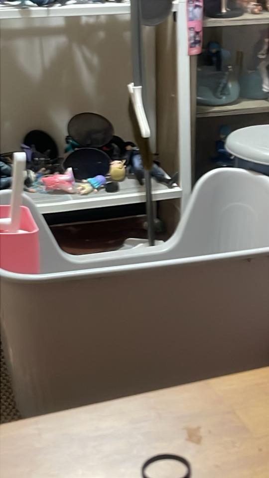 載貨運輸服務案件圖片