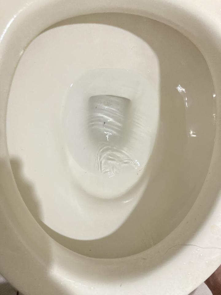 馬桶裝修案件圖片