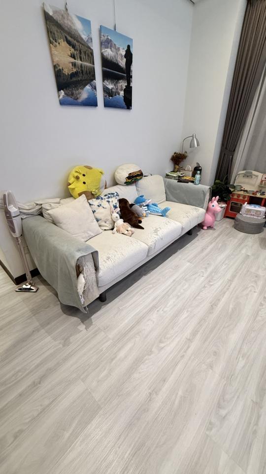 大型垃圾回收案件圖片