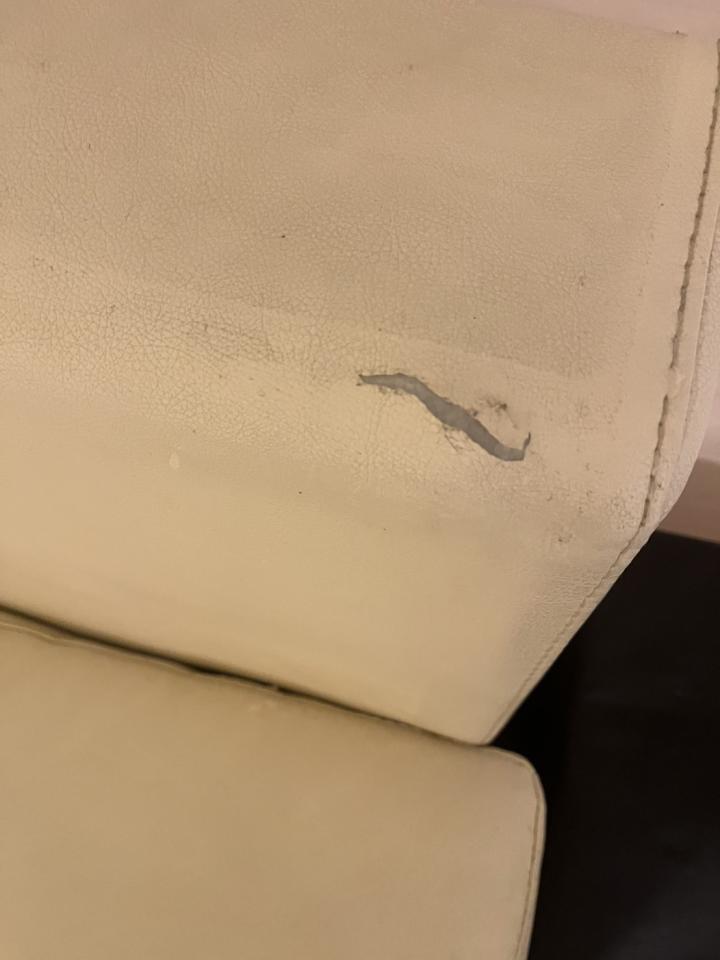 沙發修理案件圖片