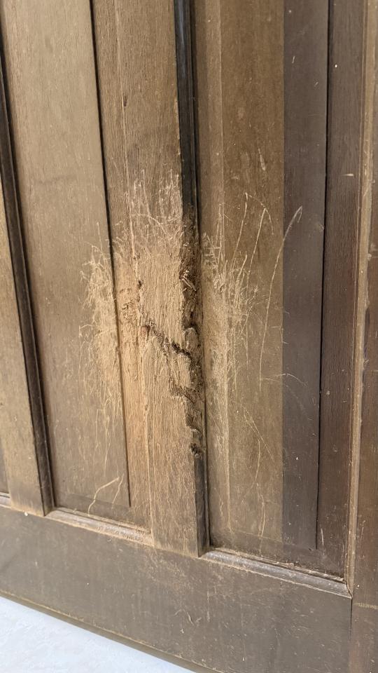 門片維修案件圖片