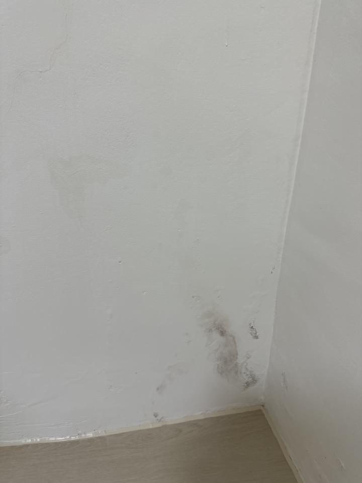 壁癌處理案件圖片