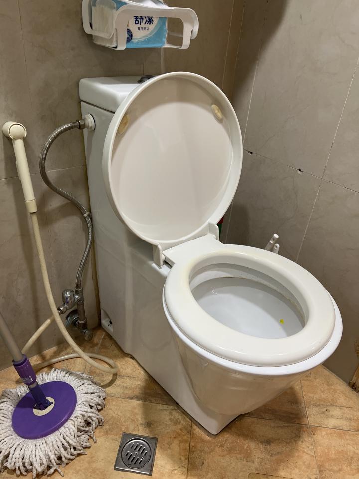 馬桶裝修案件圖片