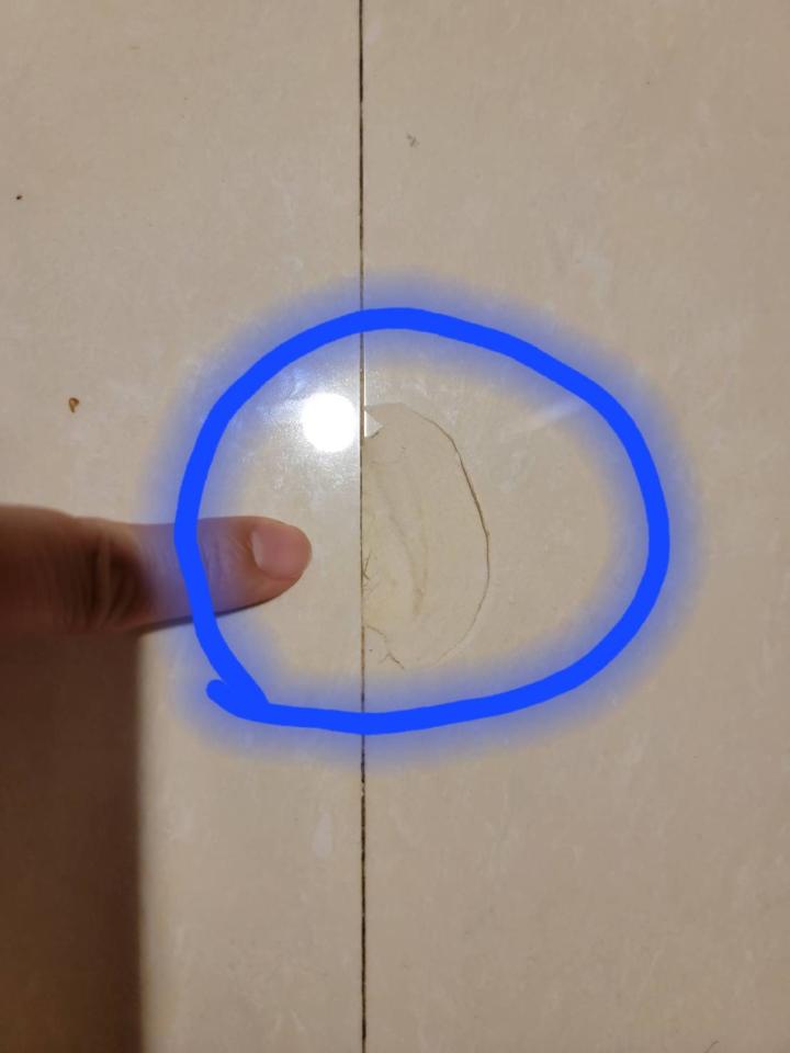 磁磚修補案件圖片