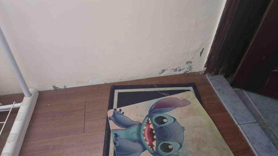 壁癌處理案件圖片