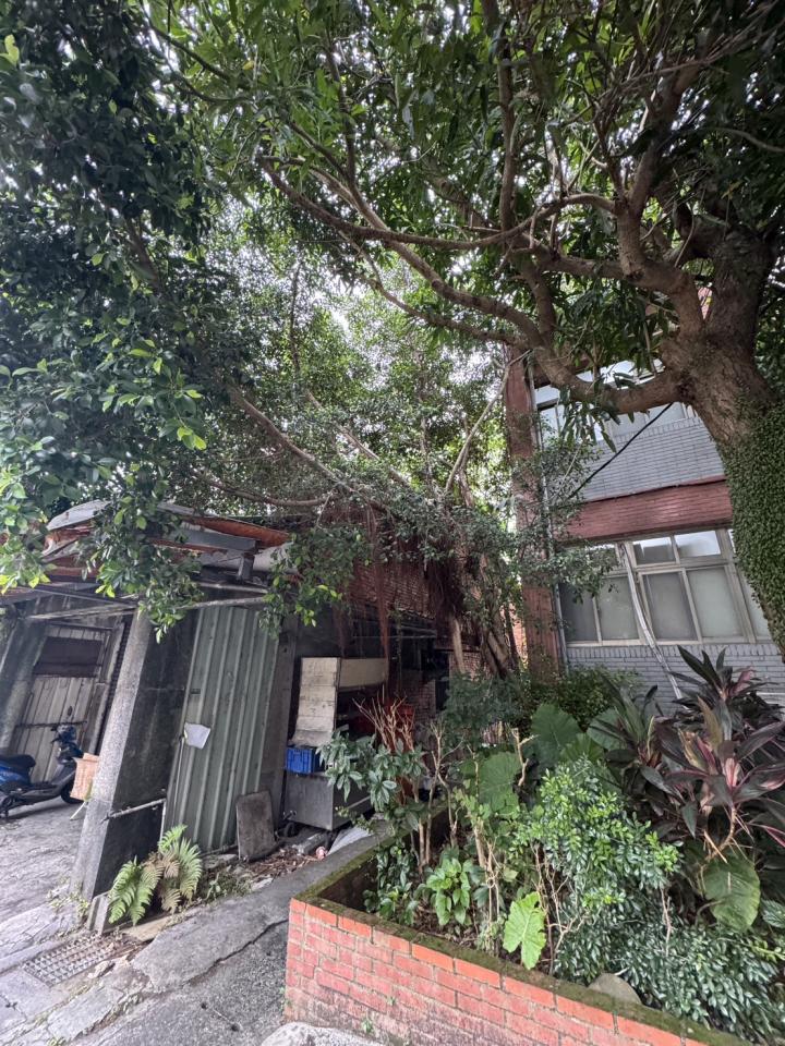 園藝維護案件圖片