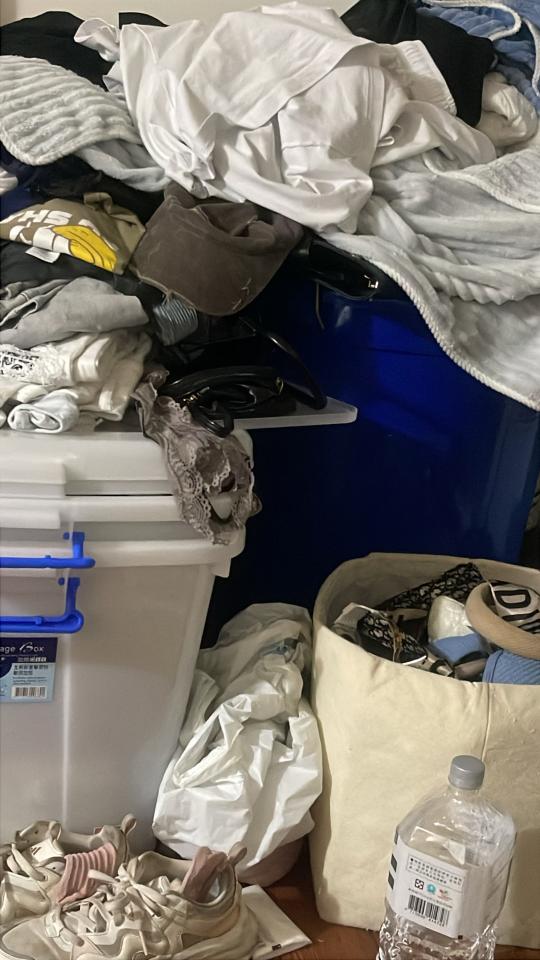 載貨運輸服務案件圖片