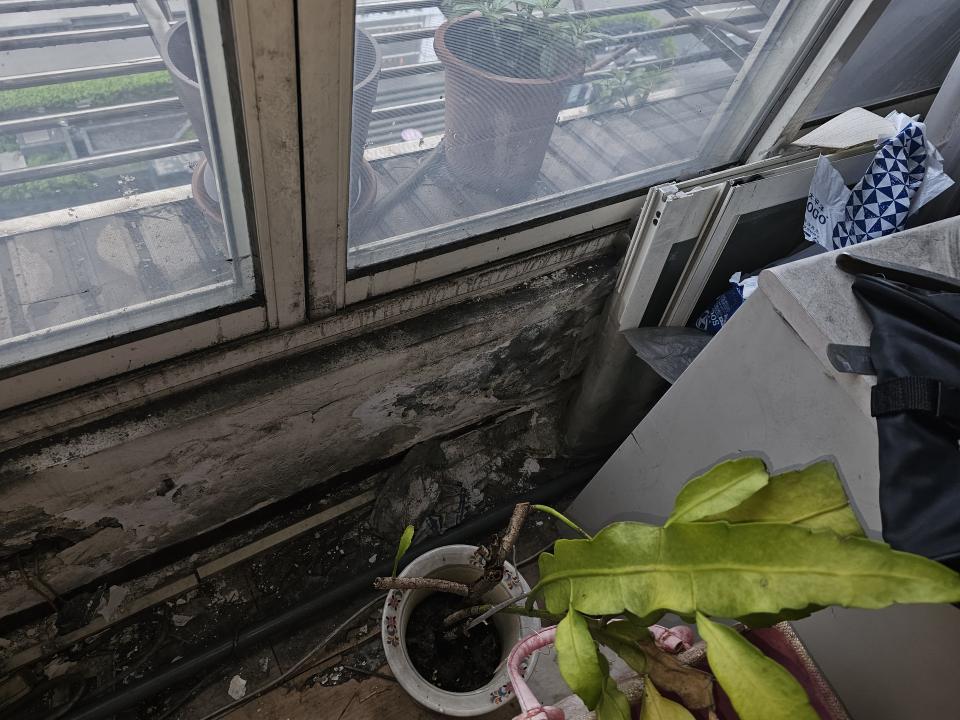 壁癌處理案件圖片