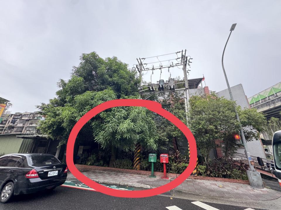 園藝維護案件圖片