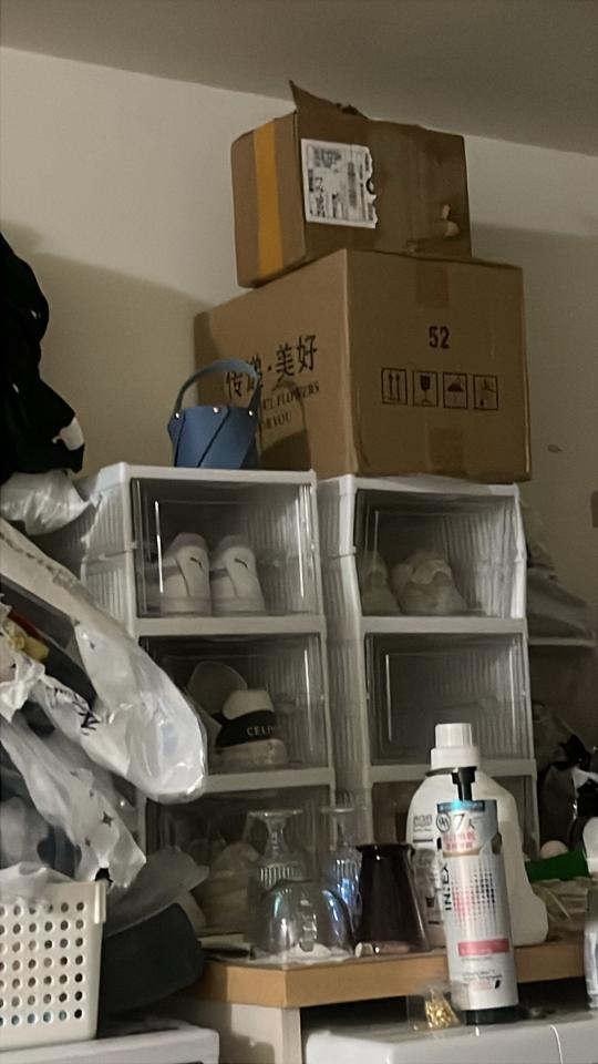 載貨運輸服務案件圖片